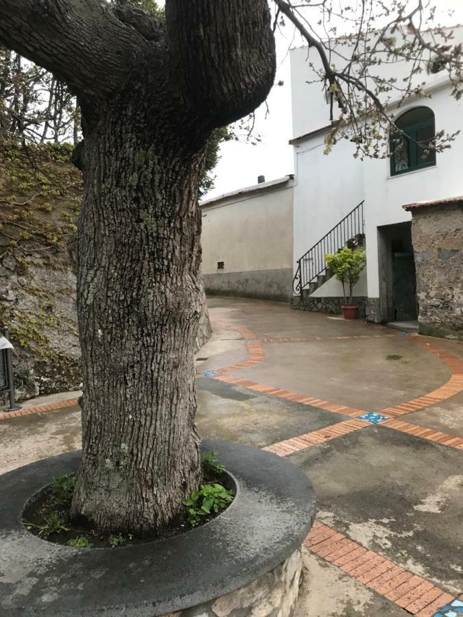 Maison Rosa Positano Eksteriør billede